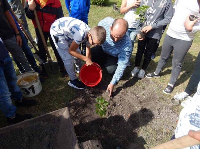 Зростаємо разом: на Волині учні висадили дерева на території школи. ФОТО