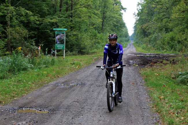 Водосховище та затоплений ліс: подорож цуманськими дібровами. ФОТО