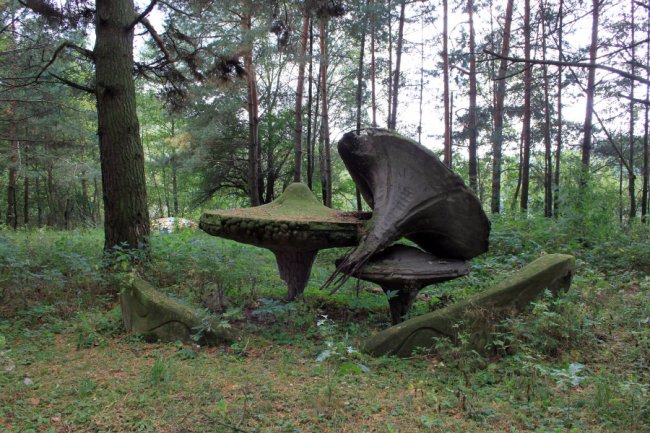 Водосховище та затоплений ліс: подорож цуманськими дібровами. ФОТО