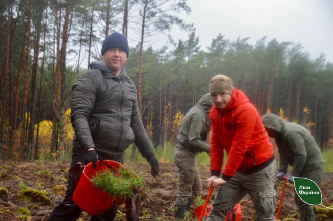 На Волині посадили ліс на честь воїна-лісівника. ФОТО