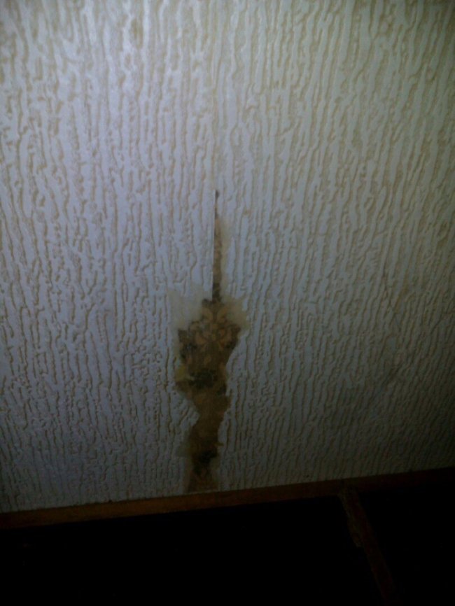 Сморід та дірки у стінах: у мережу виклали жахливі фото із готелю у Ковелі 