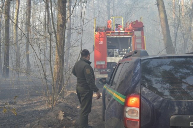Загрожувало лісовою пожежою: на Волині через підпал горіли сміттєзвалища. ФОТО. ВІДЕО
