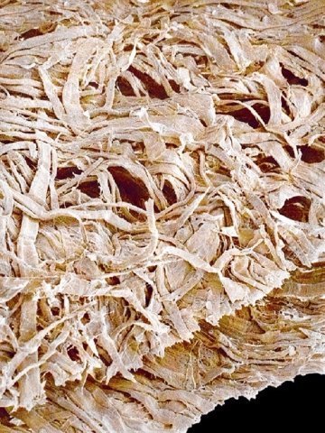 Туалетний папір