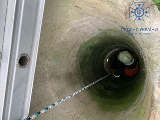 На Волині ДСНСники врятували щеня, яке впало в колодязь. ФОТО