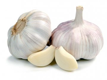 Чи допомагає часник боротися з вірусними інфекціями 