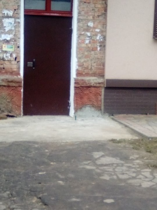 Витяг пістолет і вистрілив: на Волині чоловік ледь не вбив собаку, – ЗМІ