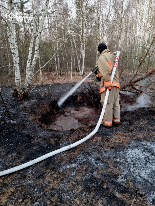 На Волині горить торфовище: вогонь тліє вже другий день