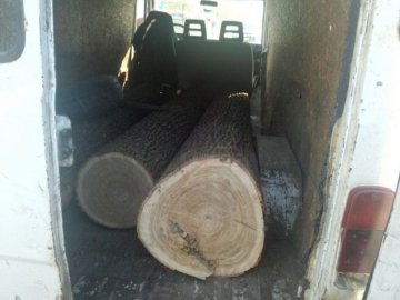 Силовики спіймали вантаж підпільної деревини на Волині
