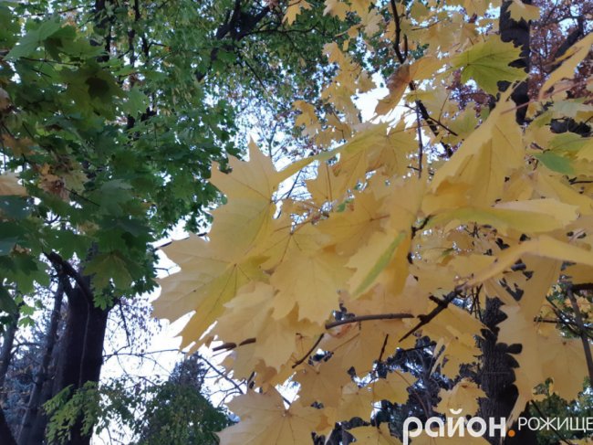 Місто на Волині восени: жовто-багряна краса. ФОТО