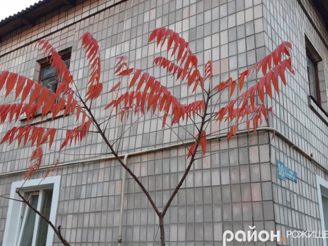 Місто на Волині восени: жовто-багряна краса. ФОТО