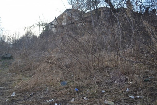 Околиці Луцького замку «тонуть» у смітті. ФОТО