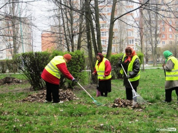 Толока в луцькому сквері закінчилася «пікетом» міського голови. ФОТО