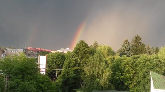 Наталія Дмитрієва