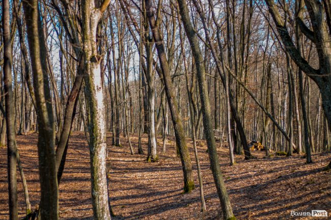 Перший день весни у «волинській Швейцарії». ФОТОРЕПОРТАЖ