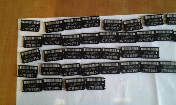 У Чернівецькій області керівники держлісгоспів разкрадали деревину. ФОТО