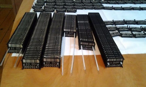 У Чернівецькій області керівники держлісгоспів разкрадали деревину. ФОТО