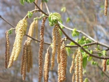 Погода в Луцьку та Волинській області на завтра, 18 квітня