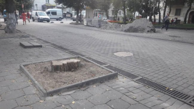 У Луцьку підприємець-новачок заробила майже півмільйона на «мутних» тендерах департаменту ЖКГ