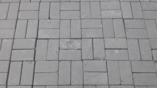 У Луцьку підприємець-новачок заробила майже півмільйона на «мутних» тендерах департаменту ЖКГ