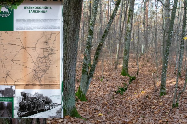 У «Цуманській пущі» відкрили нову екостежку. ФОТО