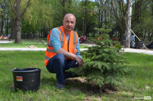Граблі, мітли і нові деревця: весняна толока у луцькому парку. ФОТО