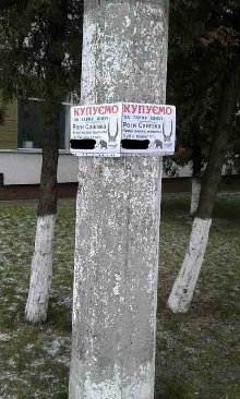 Утопленик на ковзанці та дивні оголошення. Надзвичайні новини тижня