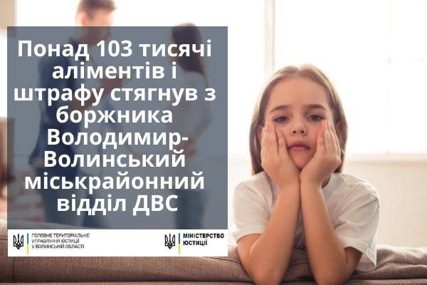 На Волині боржник аліментів «влетів» на 100 тисяч