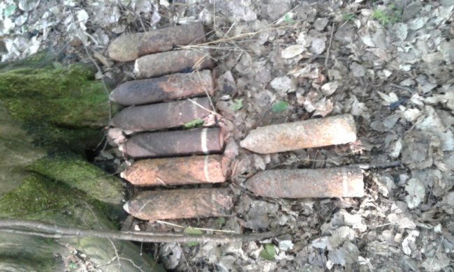 На Волині знайшли і знищили боєприпаси часів Другої світової