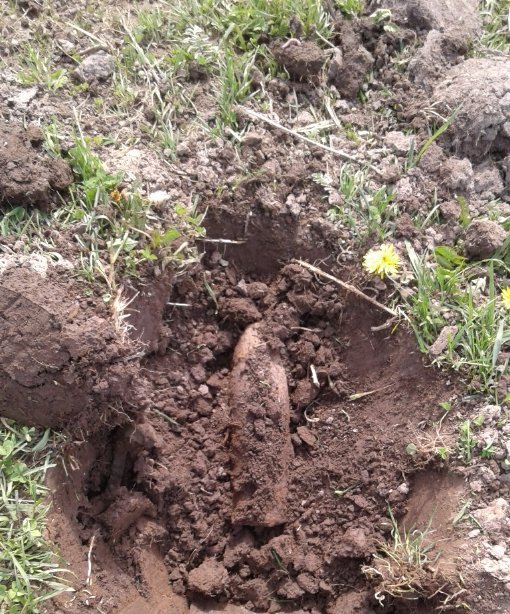 На Волині знайшли і знищили боєприпаси часів Другої світової