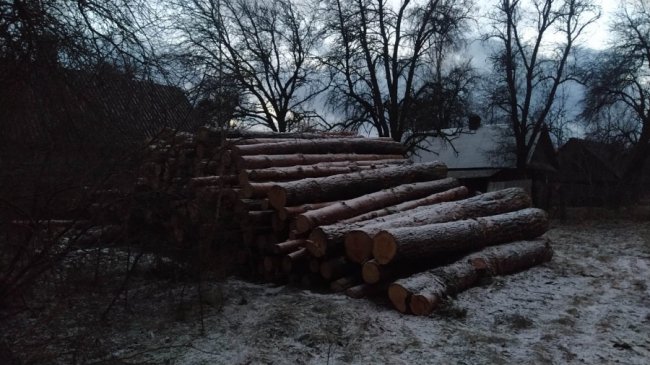 У селі на Волині виявили краденої деревини на 300 тисяч. ФОТО