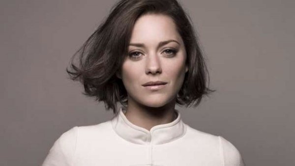 Заради кого Бред Піт може кинути Джолі. ФОТО