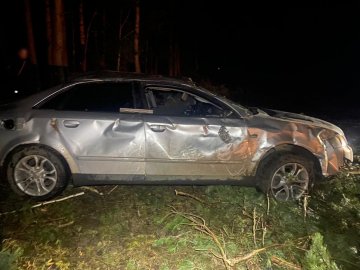 На Волині Audi злетів з дороги: двоє людей потрапили до лікарні. ФОТО