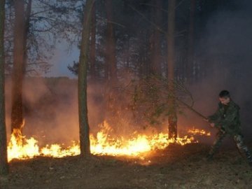 Вогонь знищив два гектари лісу