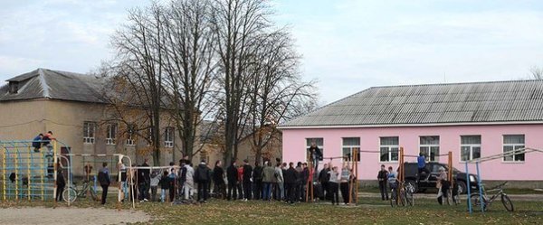 «Street Workout» в Ківерцях: віджимання на брусах. ФОТО