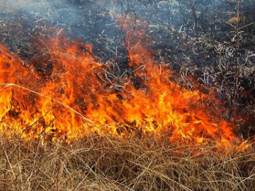 Волинянину загрожує штраф за підпал сухої трави біля дачного масиву