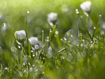 24 травня: чого не можна робити у цей день