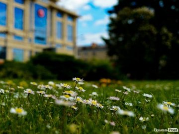 Добрі новини від ВолиньPost в останній день квітня