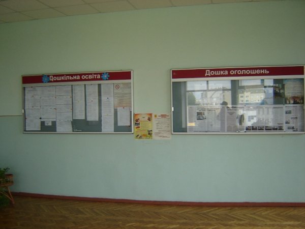 В університеті побачили незаконну агітацію за Палицю. ФОТО