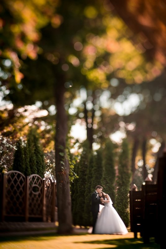 Фотовиставка Василя Шевчука