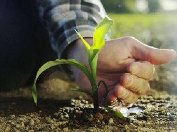 Технологія no-till: обробка грунту без оранки*