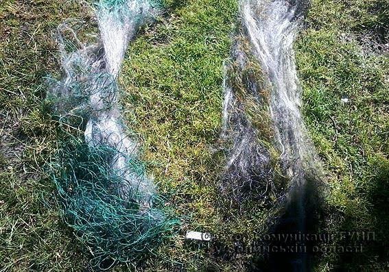 На Волині виловлювали рибу риболовецькими сітками. ФОТО