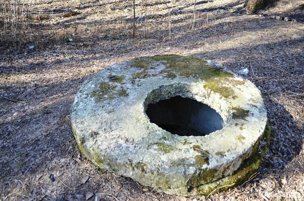 У луцькому парку зноситимуть дерева