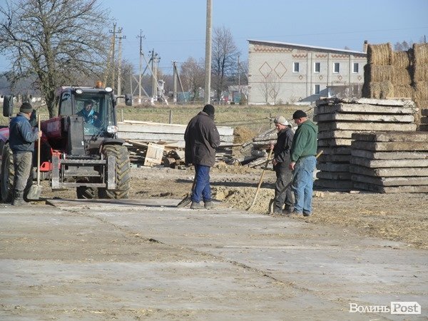 Де на Волині виробляють молоко для європейців. ФОТО