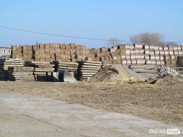 Де на Волині виробляють молоко для європейців. ФОТО