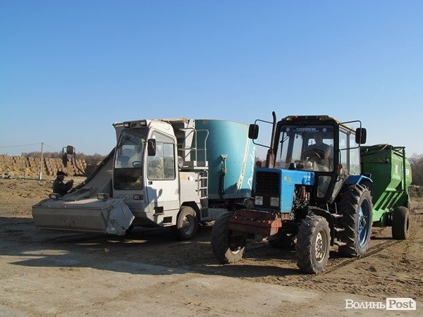 Де на Волині виробляють молоко для європейців. ФОТО
