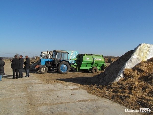 Де на Волині виробляють молоко для європейців. ФОТО