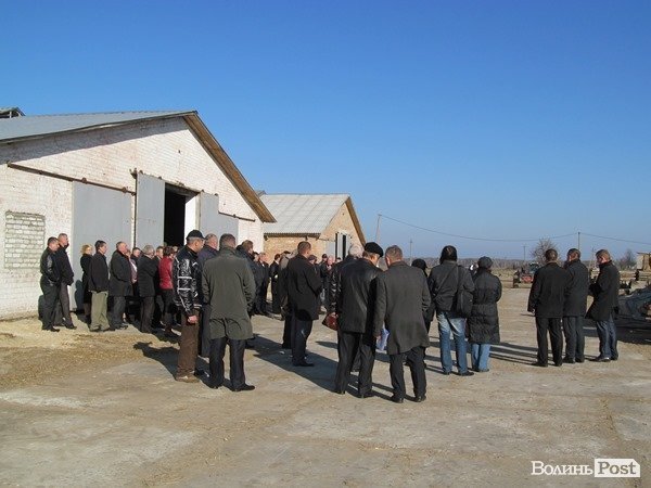 Де на Волині виробляють молоко для європейців. ФОТО