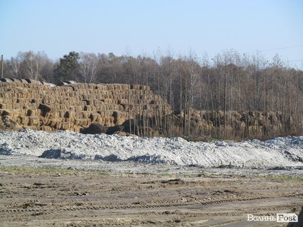 Де на Волині виробляють молоко для європейців. ФОТО