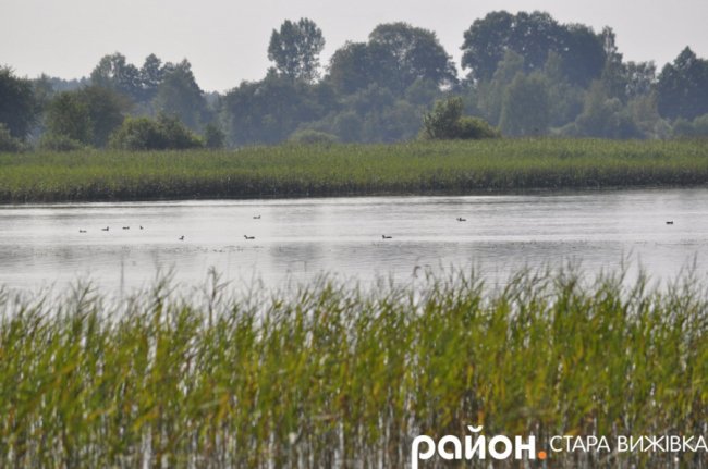 Майстер з Волині виготовляє легкі і маневрені човни. ФОТО