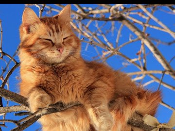 Погода в Луцьку та Волинській області на суботу, 27 березня